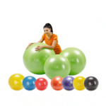 Gymnic Plus Ball