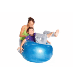 Gymnic Body Ball